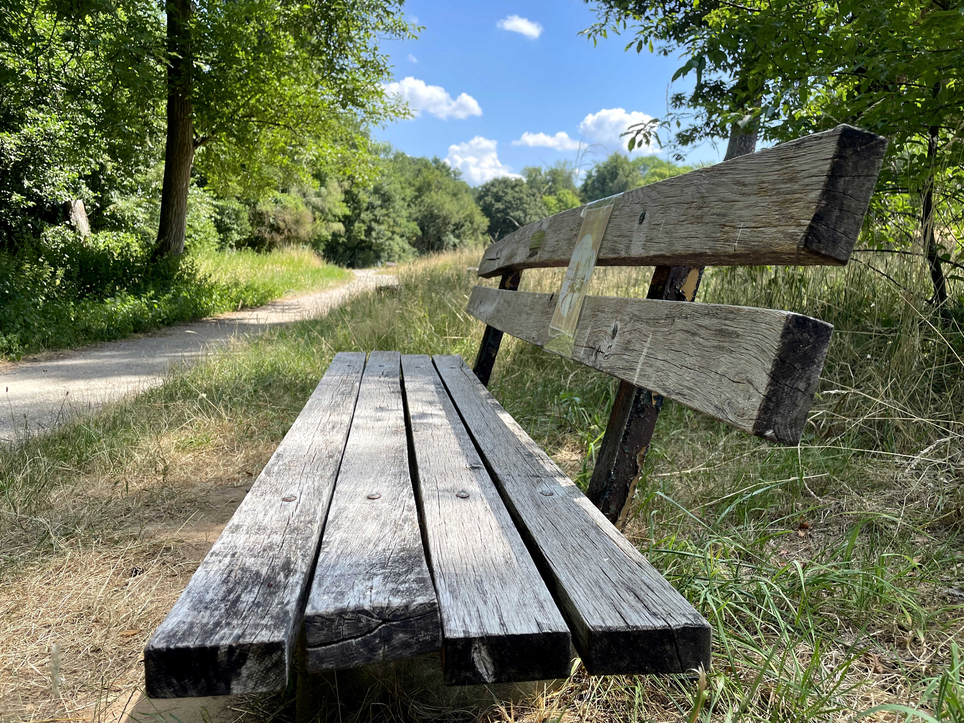 Eine Bank am Weg