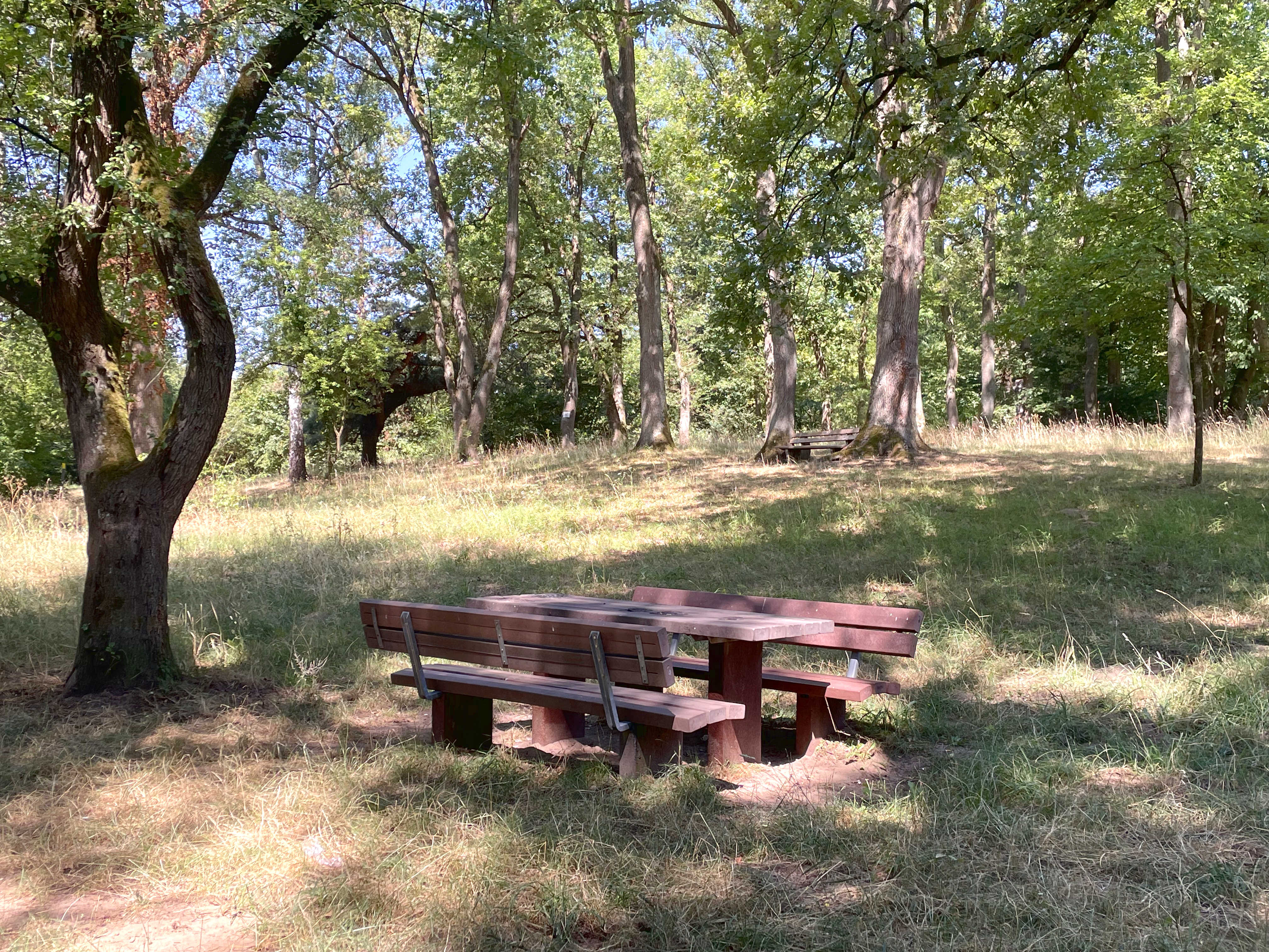 Bankgruppe mit Tisch inmitten der grünen Natur.